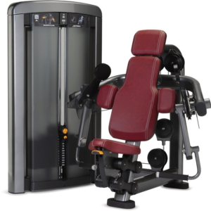 Bicep Curl Machine | Professional Gym Equipment for Arm Strengthening