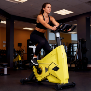 Classic Indoor Exercise Bike