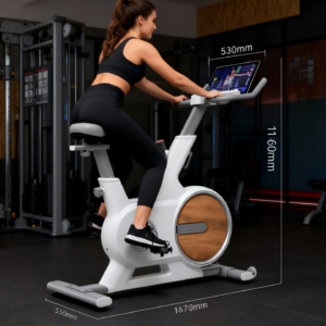 Bluetooth Smart App Indoor Exercise Bike