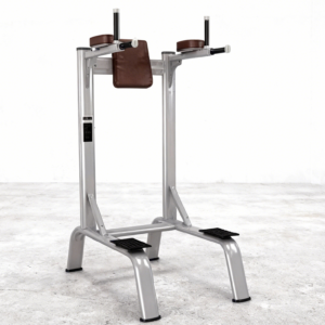 Commercial Vertical Knee Raise & Chin-Up Station | Core & Upper Body Trainer